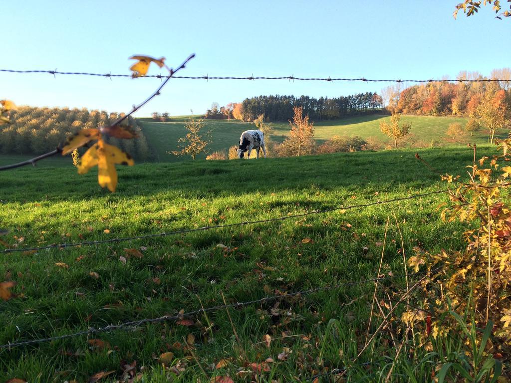 O Macra Villa Aubel Rum bild